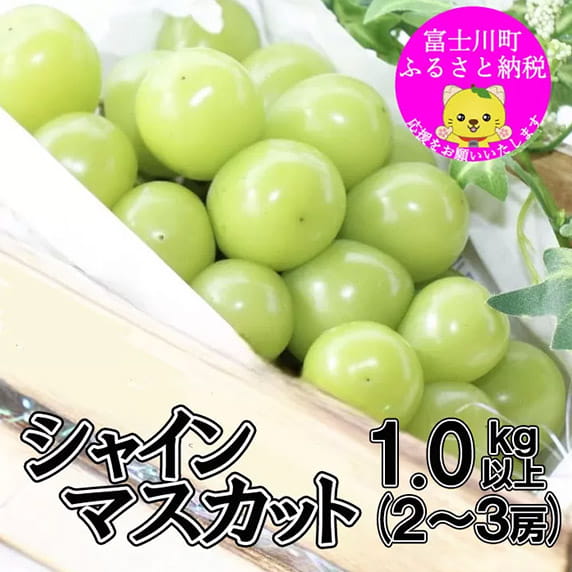 シャインマスカット 1.0kg以上(2〜3房)