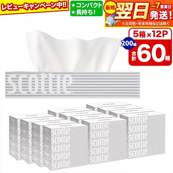 レビューキャンペーン中 5箱×12p 合計60箱