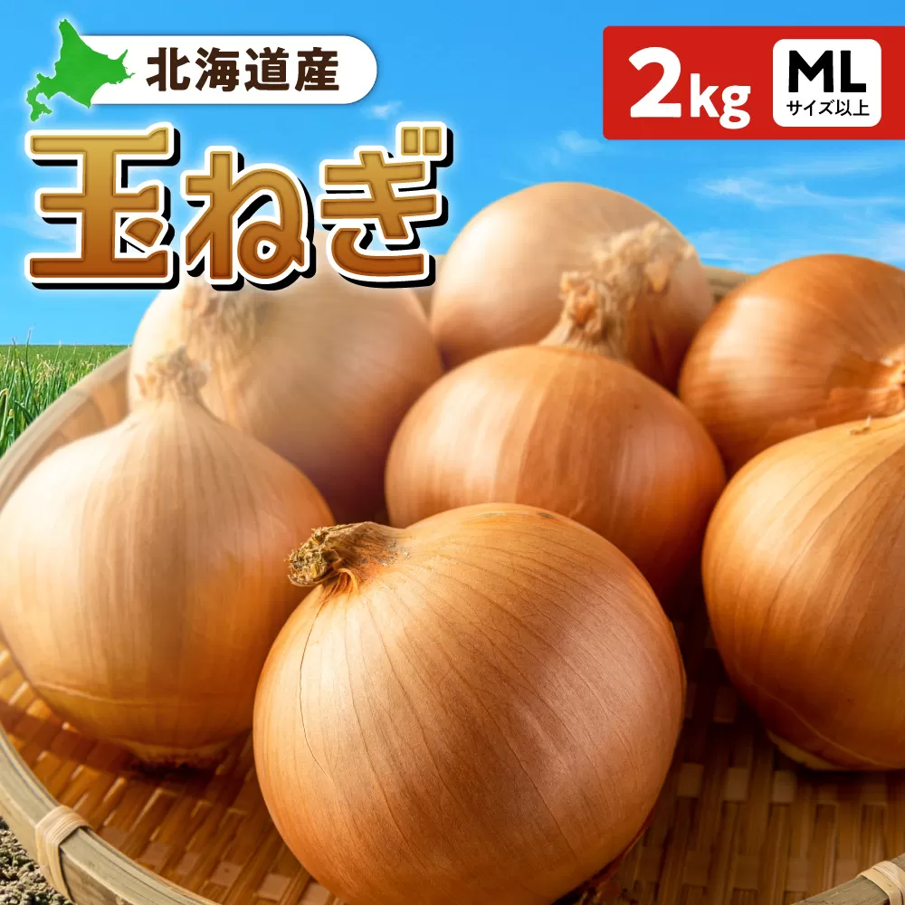 玉ねぎ 北海道産 2kg MLサイズ以上 | たまねぎ 野菜 北海道 札幌市