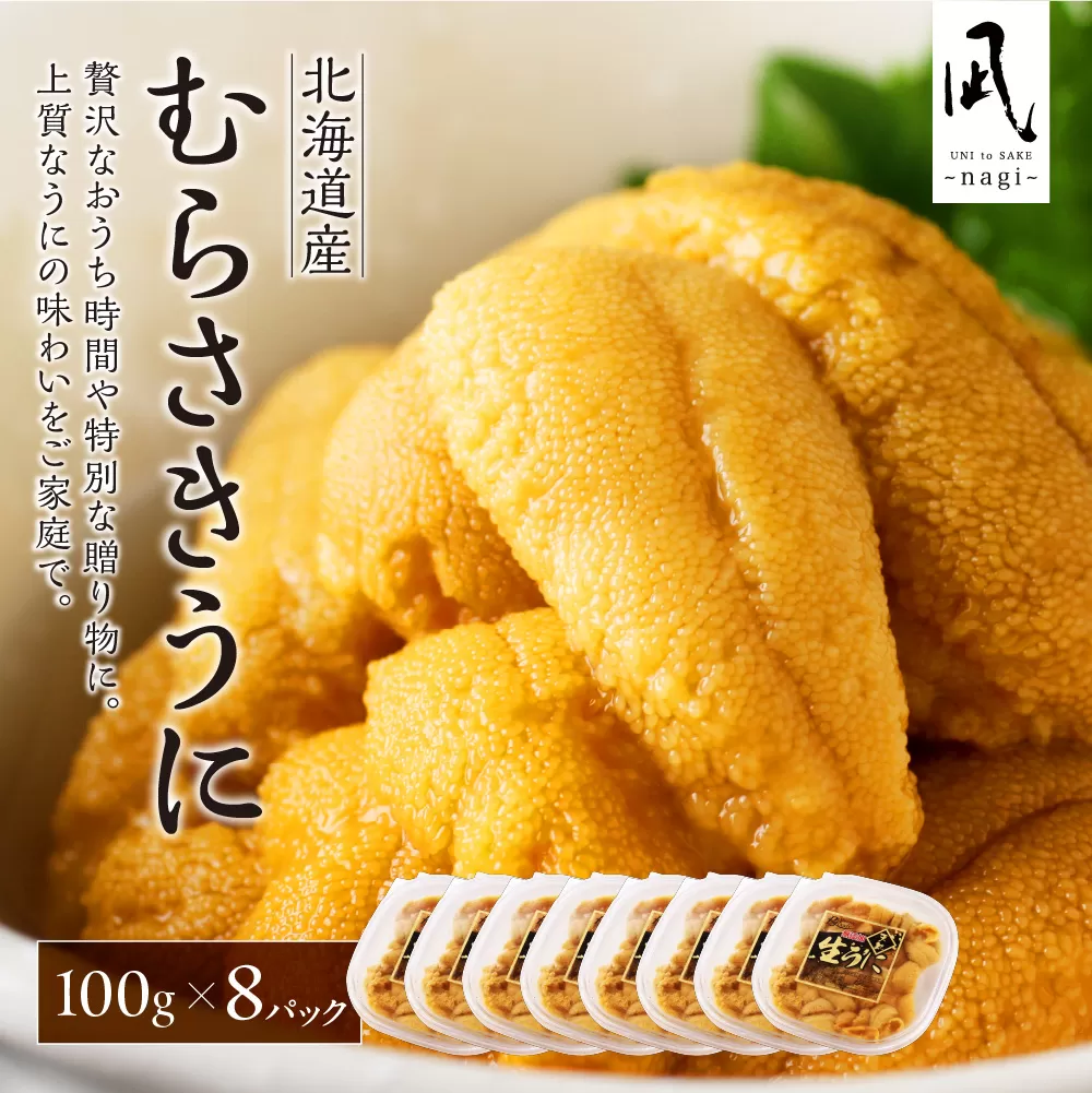 【先行予約】《北海道産》ムラサキウニ 塩水 100g ×8パック＜札幌カネシン水産＞ | ウニ丼 無添加 北海道 札幌市