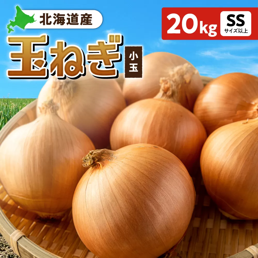 玉ねぎ 北海道産 小玉 20kg SSサイズ以上 | たまねぎ 野菜 北海道 札幌市