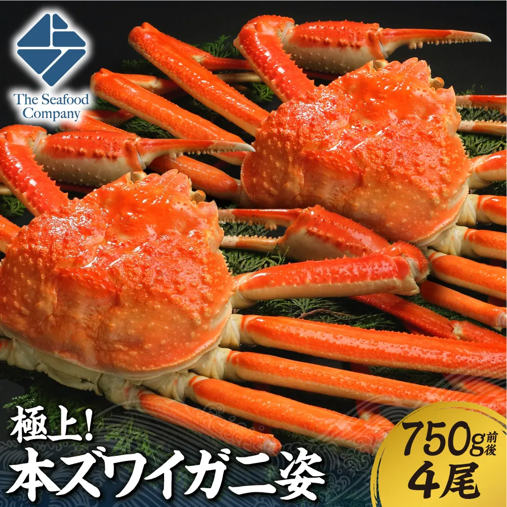 極上！本ズワイ蟹の姿　750g　4尾 | カニ ずわいガニ 海鮮 北海道 札幌市