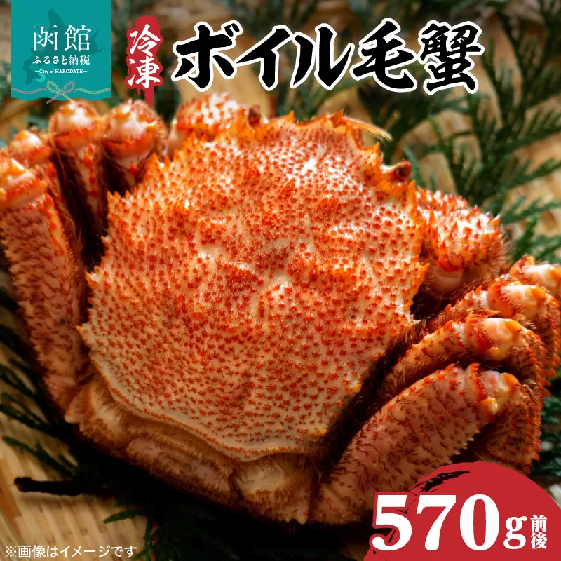 冷凍ボイル北海道名産毛蟹(570g) 1尾_HD069-031