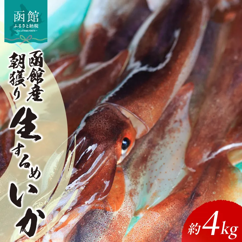 函館産 朝獲り 生するめいか 約 4kg 前後 季節限定 コリッコリ イカ 生いか スルメイカ いか刺し 函館名物 地元食材 国産 魚介類 冷蔵 イチヨ水産 北海道 函館 送料無料 お取り寄せグルメ_HD010-007