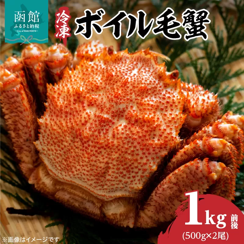 冷凍ボイル北海道名産毛蟹(500g) 2尾_HD069-030