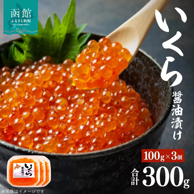 味の匠　いくら醤油漬け１００ｇ×３_HD064-009
