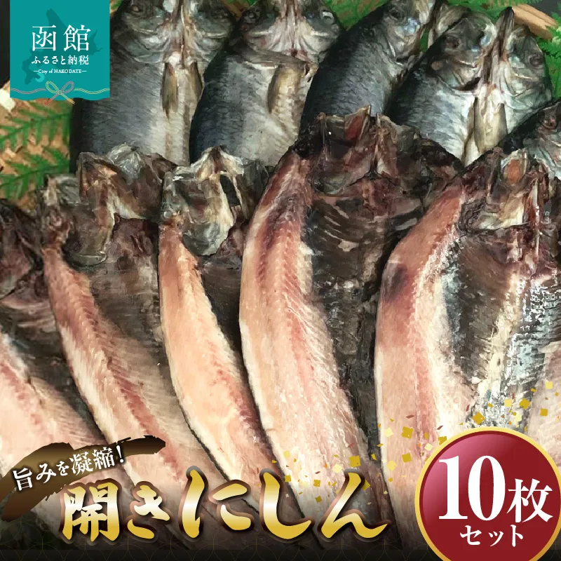 開きにしん　10枚セット　「函館山崎水産」_HD061-008