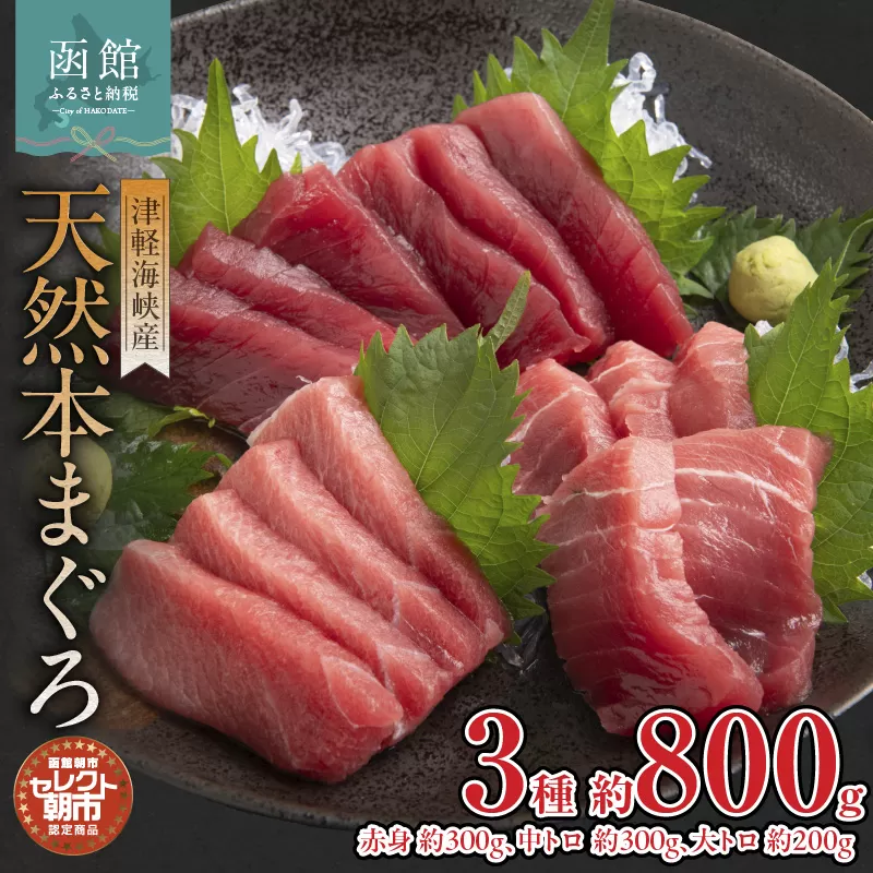 セレクト朝市「津軽海峡産天然本まぐろ」（赤身 約300g、中トロ 約300g、大トロ 約200g）_HD009-034