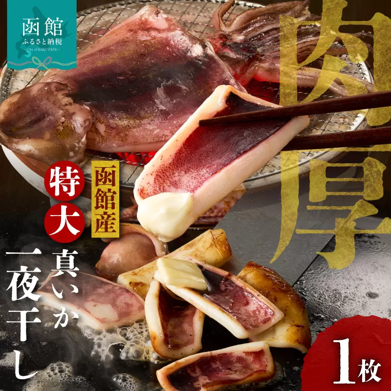 函館産 特大真いか 一夜干し 1枚 いか イカ 烏賊 特大 肉厚 干物 つまみ いか天 イカ天 冷凍 北海道 函館 はこだて_HD010-023