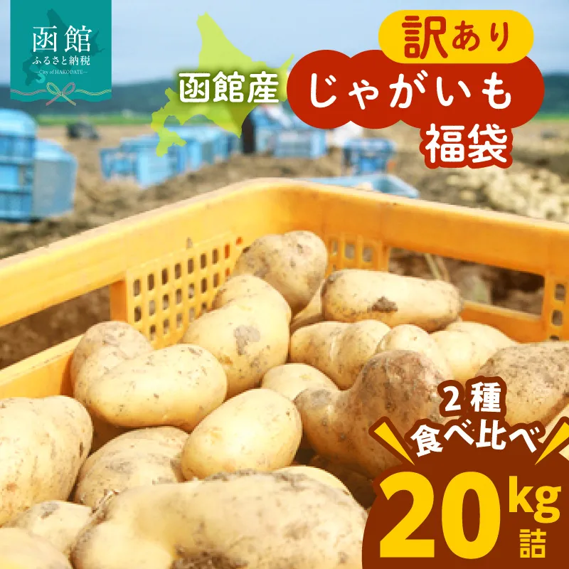 じゃがいも 福袋 2種類 20kg きたあかり 男爵いも メークイン とうや キタカムイ 北海道産 じゃがいも Mサイズ　2Lサイズ 訳あり 野菜 新鮮 国産 食品 お取り寄せ お取り寄せグルメ 北海道 函館市 送料無料_HD206-003