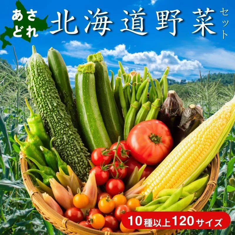 【2回定期便】【野菜ソムリエ厳選】北海道小樽産 旬の活野菜セットL 10種以上 120サイズ
