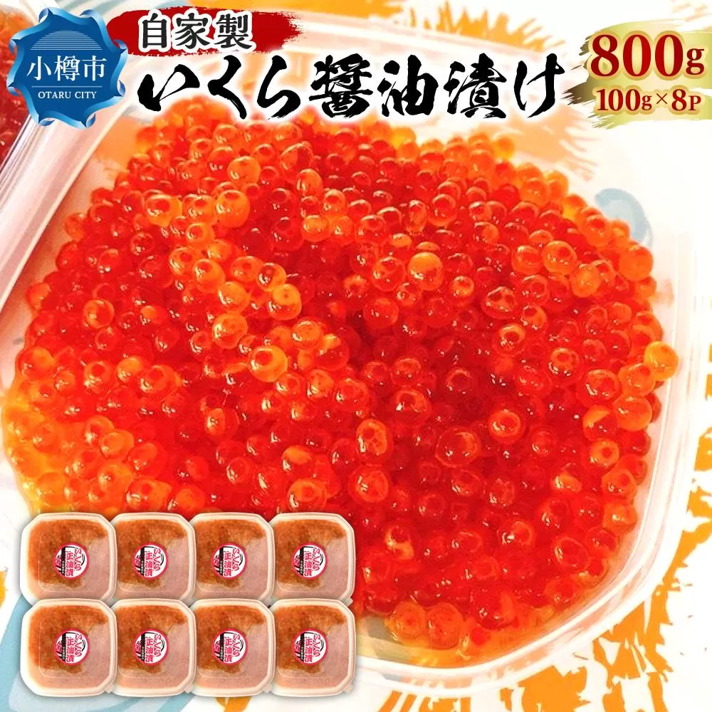 自家製 いくら ?油漬け 800g（100g×8パック）