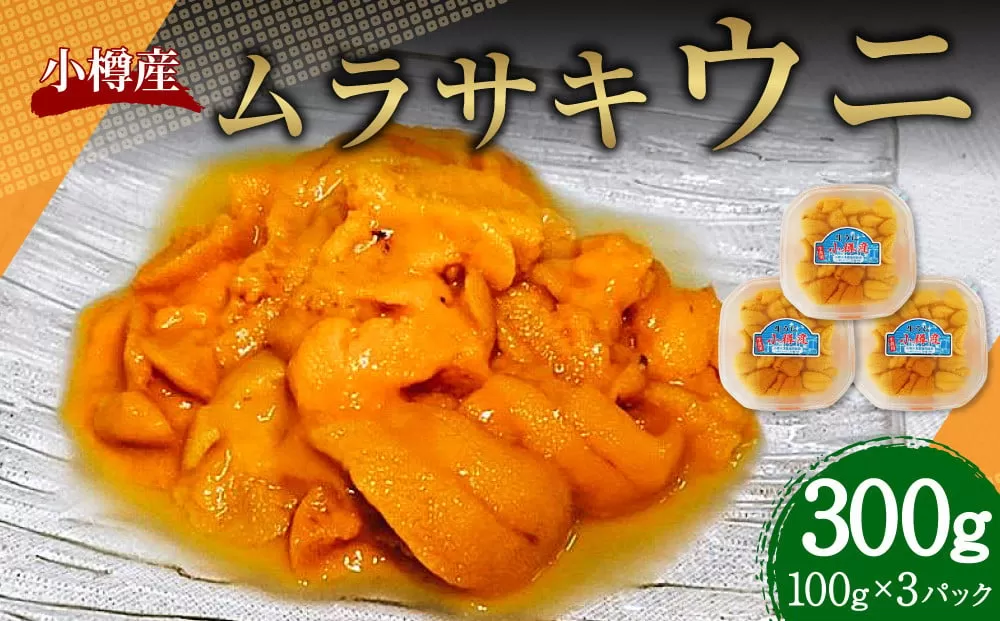 小樽産 ムラサキウニ （塩水生ウニ） 100g×3パック 合計300g 【2025年5月下旬～8月下旬 発送予定】 紫雲丹 紫ウニ 紫うに ウニ うに 雲丹 塩水生うに 生ウニ 刺し身 刺身 海鮮丼 魚介類 海産物 冷蔵