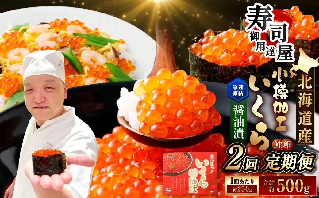 北海道加工 いくら醤油漬 計約1.25kg （約250g×5パック） いくら醤油漬け いくら イクラ 醤油漬 醤油漬け 冷凍