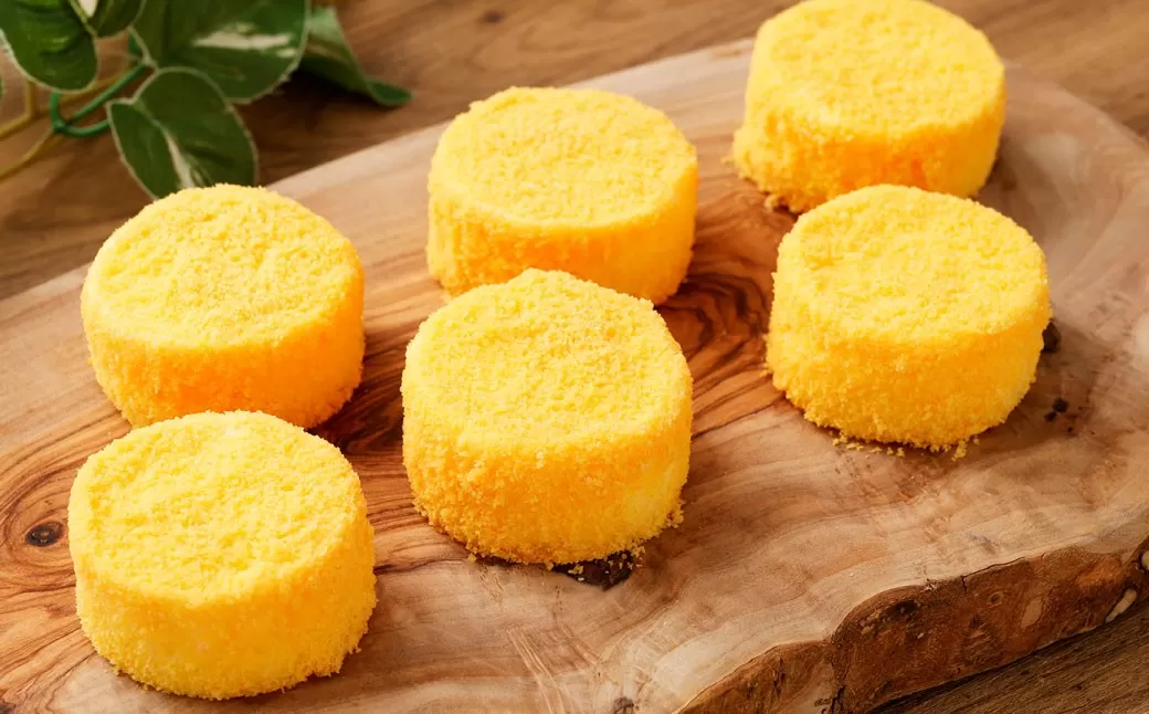 【3回定期便】 北海道ミニフロマージュ （メロン） 約900g×3回 合計約2.7kg ミニフロマージュ フロマージュ チーズケーキ ケーキ スイーツ 洋菓子 冷凍 北海道 小樽市