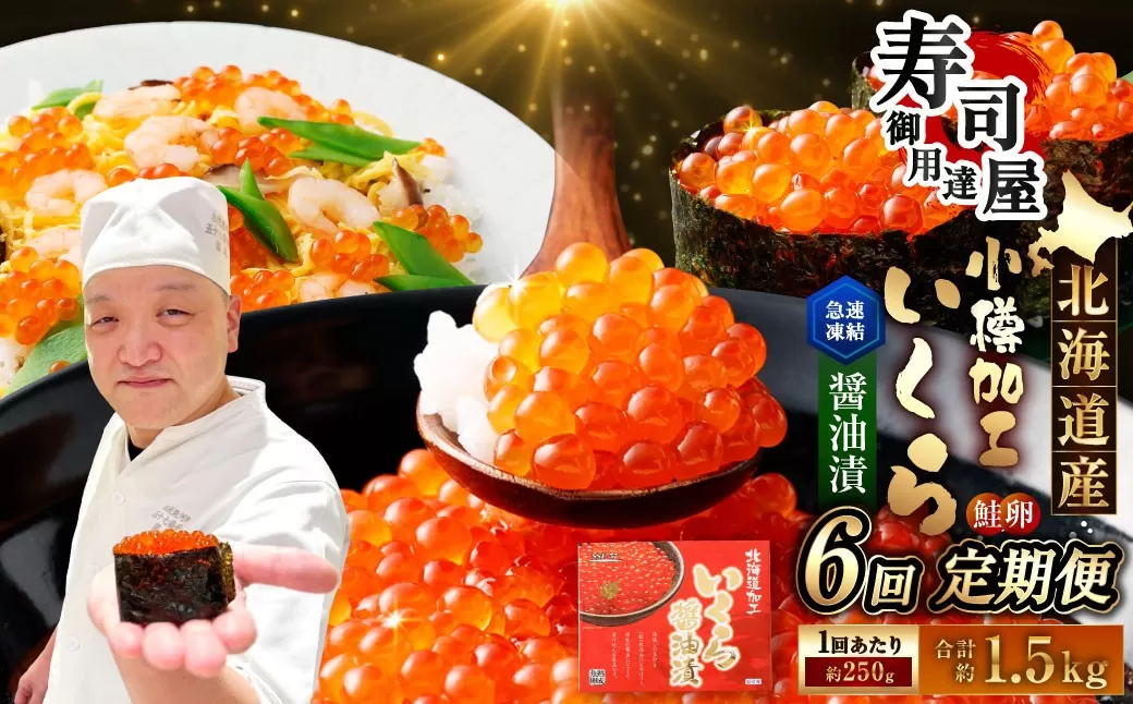 【2回定期便】 北海道加工 いくら醤油漬 約250g（1パック）×2回 計約500g いくら醤油漬け いくら イクラ 醤油漬 醤油漬け 冷凍