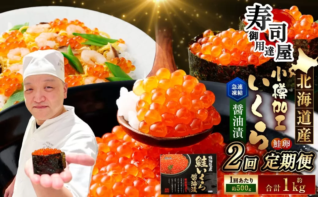 北海道加工 いくら醤油漬 約500g 1パック いくら醤油漬け いくら イクラ 醤油漬 醤油漬け 冷凍