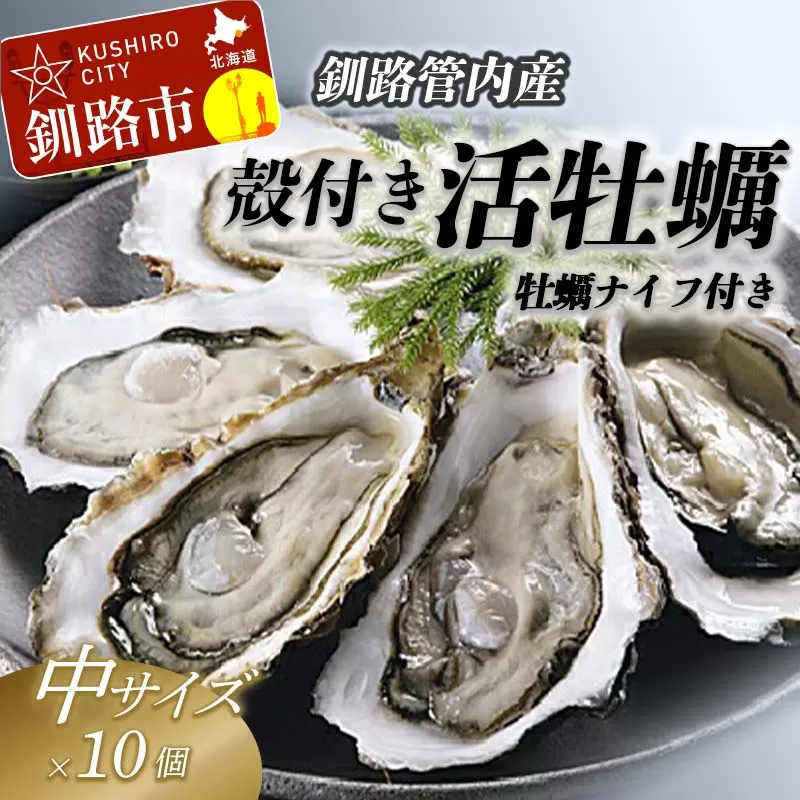 【ぷりっぷりで濃厚！】釧路管内産【活】牡蠣（中）10個（カキナイフ付き） ふるさと納税 牡蠣 F4F-7739