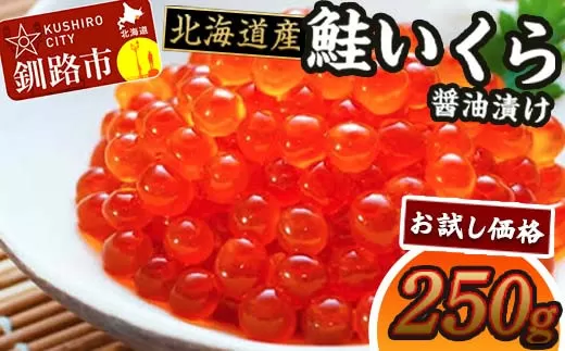 《 お試し価格 数量限定 》北海道産 鮭 いくら 醤油漬け 250g 北海道 釧路 ふるさと納税 いくら イクラ 丼 ごはんのお供 魚介類 海鮮 魚卵 海産物  F4F-1608