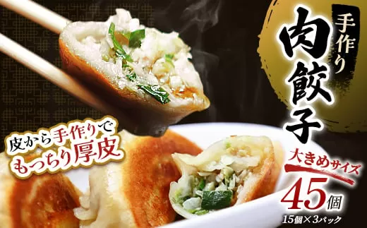 通常発送 肉餃子45個(15個×3)  決済から14日前後で発送  F4F-4046