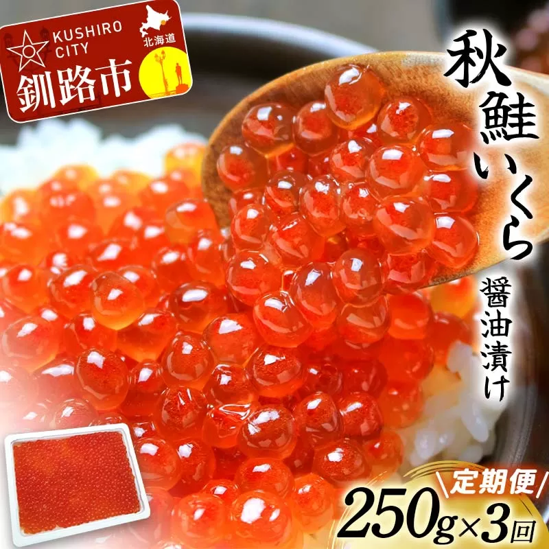 【3か月連続定期便】新物 北海道産秋鮭いくら醤油漬け 250g 定期便 いくら イクラ 北海道 秋鮭 鮭 鮭イクラ サケ 魚介類 海鮮 F4F-6157