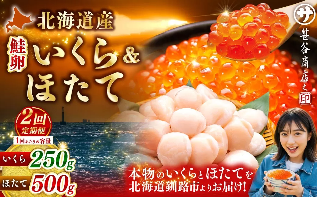 【2ヶ月定期便】 笹谷商店 新物 北海道産 いくら醤油漬け250g＆ほたて貝柱500g  お刺身 国産 イクラ イクラ醤油漬け 鮭いくら 鮭卵 ほたて貝柱 帆立 ホタテ ほたて 海鮮丼 詰め合わせ 海鮮 魚介 冷凍 グルメ 北海道 釧路市