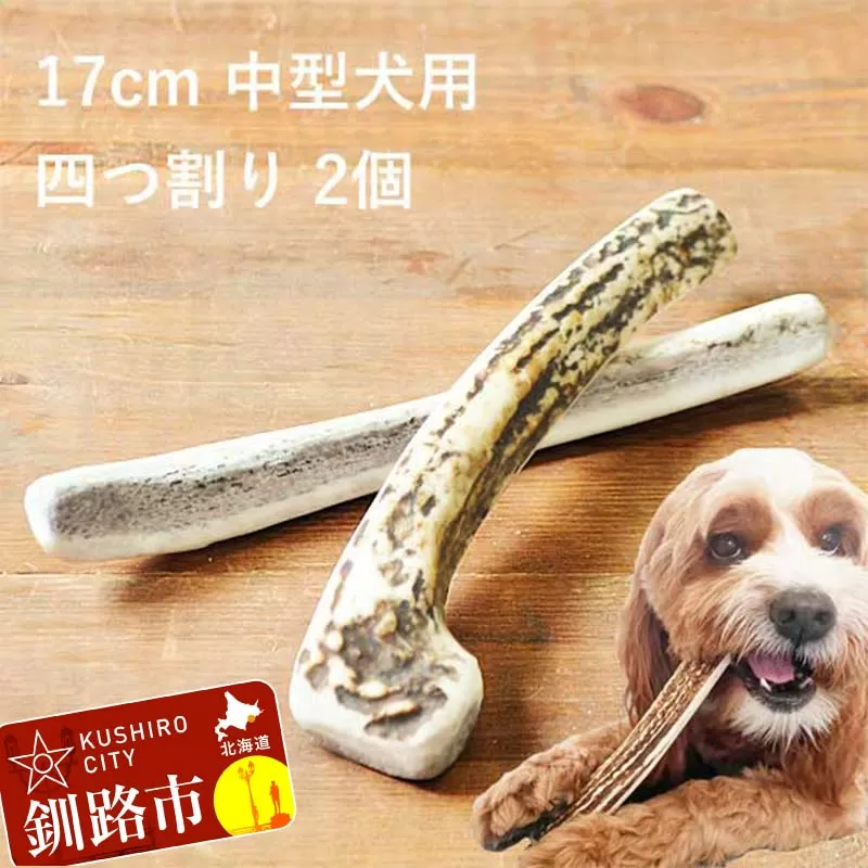 エゾ鹿の角ガム 17cm 中型犬用 四つ割り 2個 北海道産 国産 無添加 犬用ガム 天然鹿角 長持ち デンタルケア ペット おやつ F5F-0070