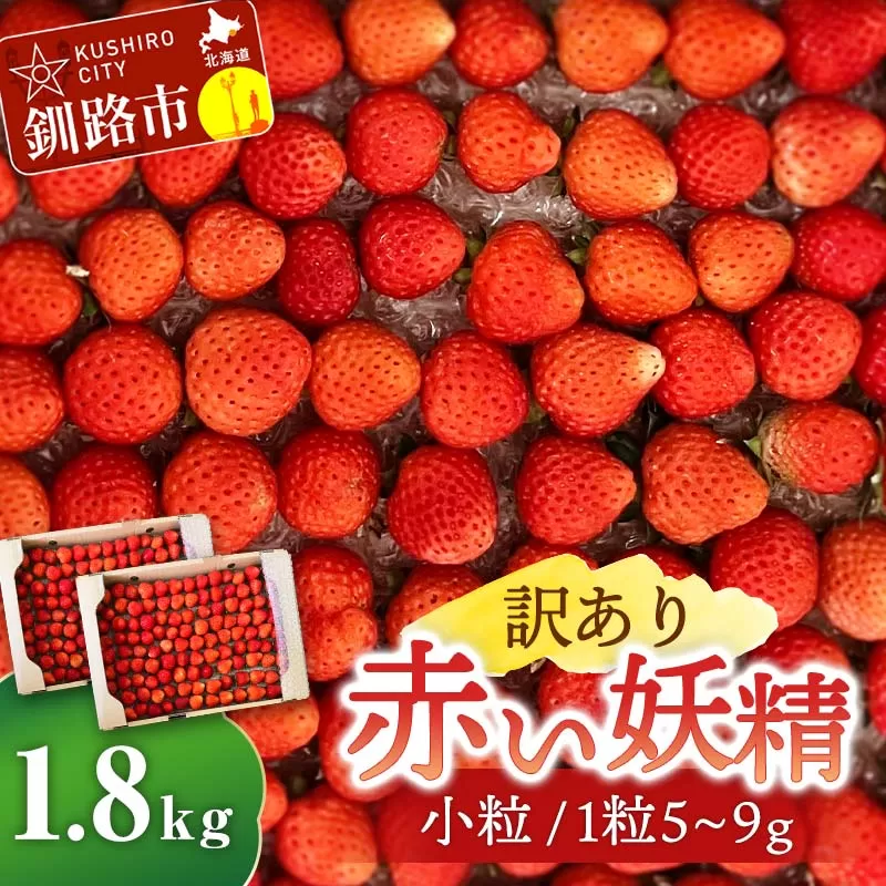 5月から順次発送!【 訳あり 】赤い妖精 1.8kg(小粒 1粒5～9g) 夏いちご 規格外にて訳あり イチゴ 夏イチゴ 果物 苺 いちご 夏 スィーツ ケーキ フルーツ 北海道 規格外 F4F-4624