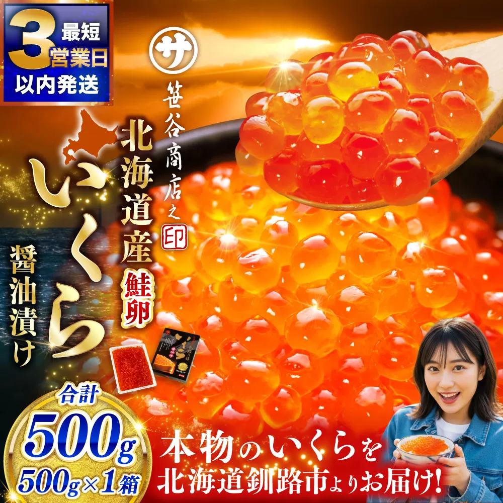 新物 北海道産 いくら醤油漬け500g×1箱 ふるさと納税 いくら