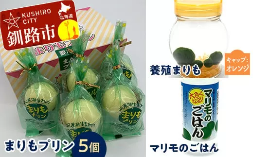 阿寒湖銘菓まりもプリン5個入と養殖まりもセット（オレンジ） 北海道 釧路 ふるさと納税 養殖まりも 飼育 プリン カスタード スイーツ 菓子  F4F-1865