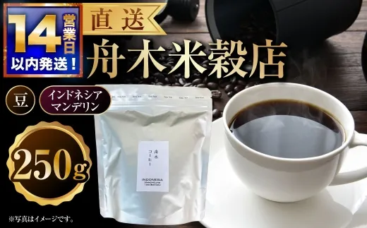 【14営業日以内に発送】 豆 【直送】 舟木米穀店 インドネシア マンデリン 250g コーヒー 珈琲 COFFEE coffee コーヒー豆 スペシャルティコーヒー 自家焙煎 焙煎
