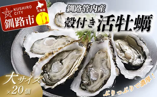 【ぷりっぷりで濃厚！】釧路管内産【活】牡蠣（大）20個 ふるさと納税 牡蠣  F4F-0382