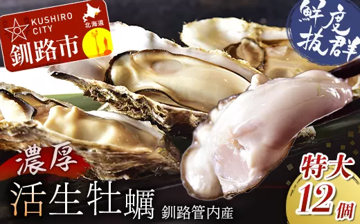 鮮度抜群！釧路管内産濃厚活生牡蠣12個入 ふるさと納税 かき 牡蠣  F4F-0015