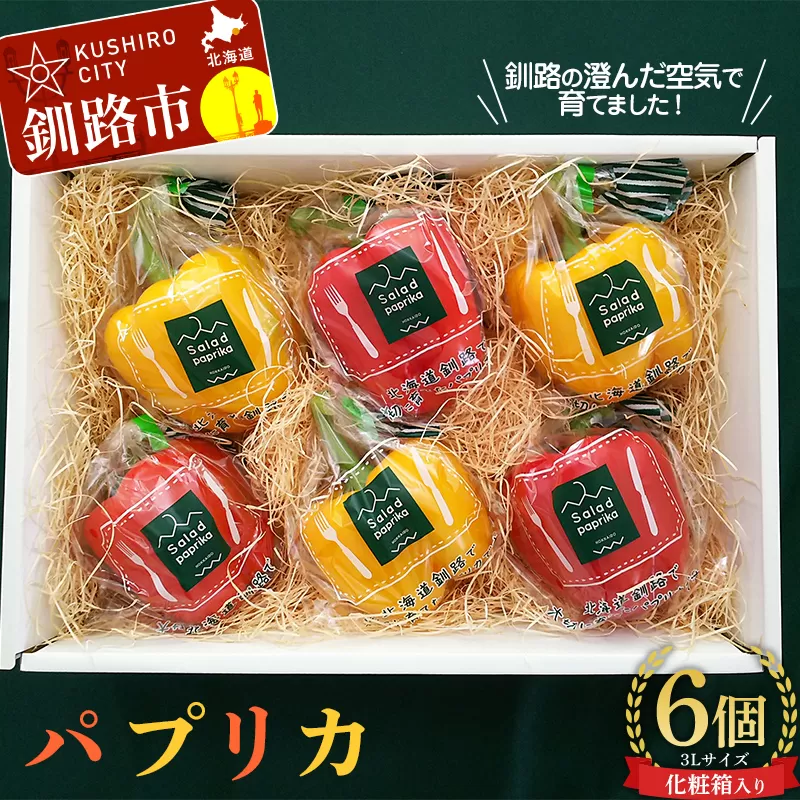 【5月より順次発送】 パプリカ 3Lサイズ×6個 野菜 サラダ 北海道野菜 生野菜 旬 冷蔵 北海道 ピーマン 甘い 送料無料 贈答 ギフト F4F-2276