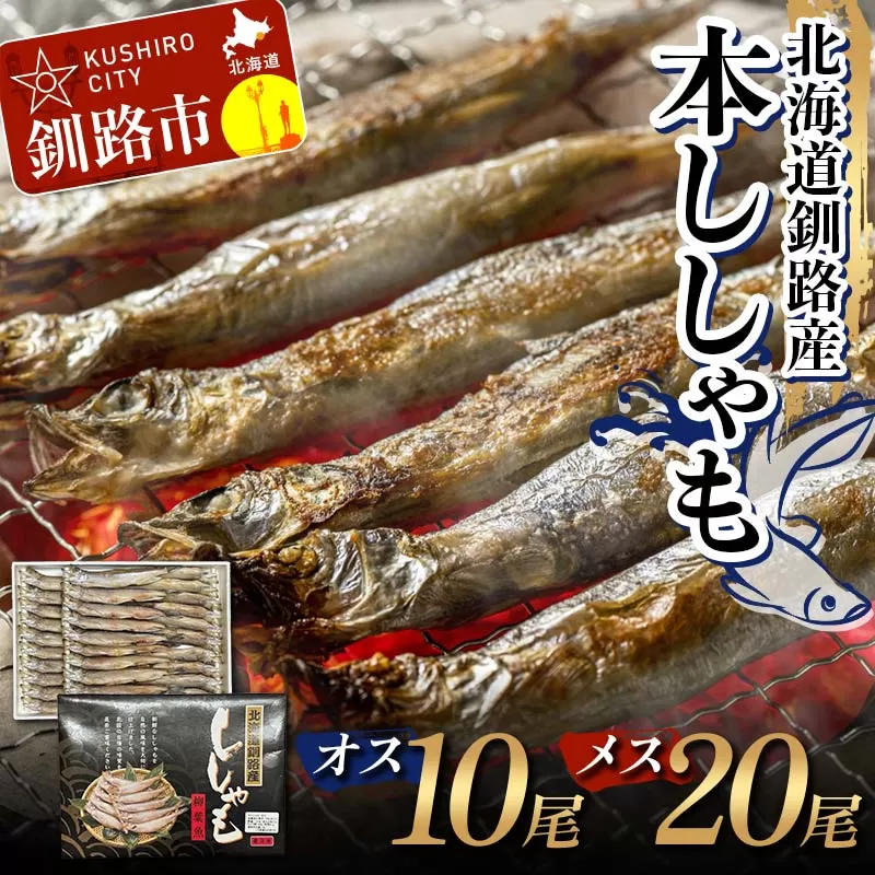 本ししゃも オス10尾・メス20尾 釧路産 本ししゃも 魚 ししゃも 魚好きのオス プチプチたまごのメス 魚介 グルメ シシャモ 北海道産 国産 魚 魚介 海の幸 F4F-8434