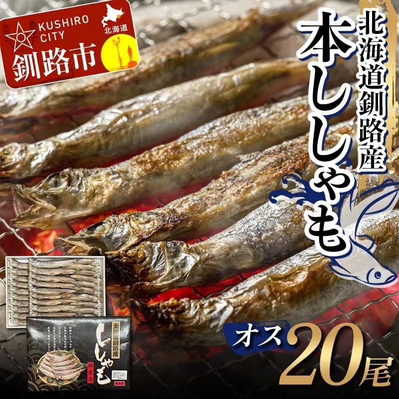 本ししゃも オス20尾 釧路産 本ししゃも 魚 ししゃも 魚好きのオス 魚介 グルメ シシャモ 北海道産 国産 魚 魚介 海の幸 F4F-8435