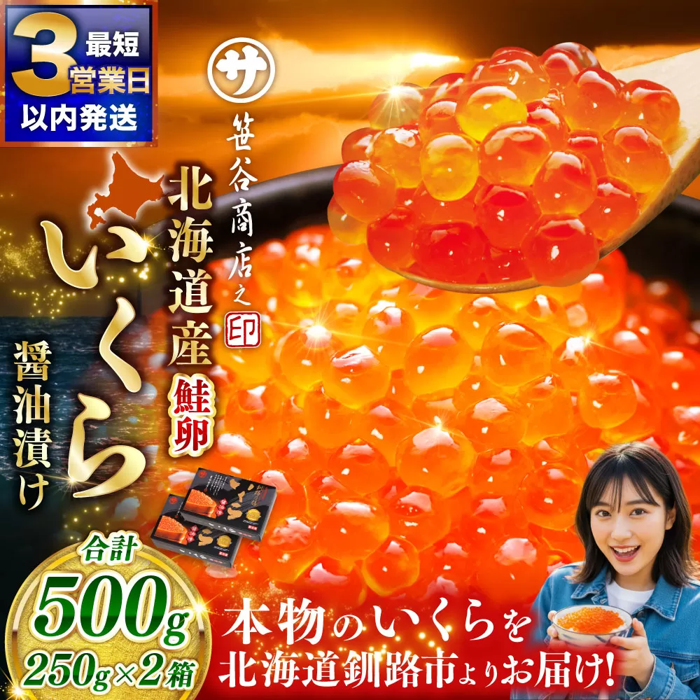 笹谷商店 新物 北海道産いくらしょう油漬250g×2箱 ふるさと納税 いくら F7F-9689