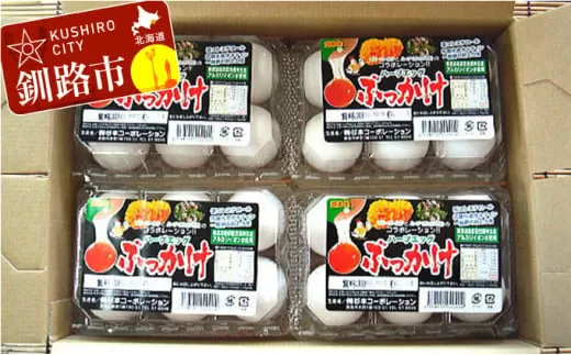 無添加ハーブエッグぶっかけ究極のTkg産みたて新鮮タマゴ ふるさと納税 卵  F4F-0797
