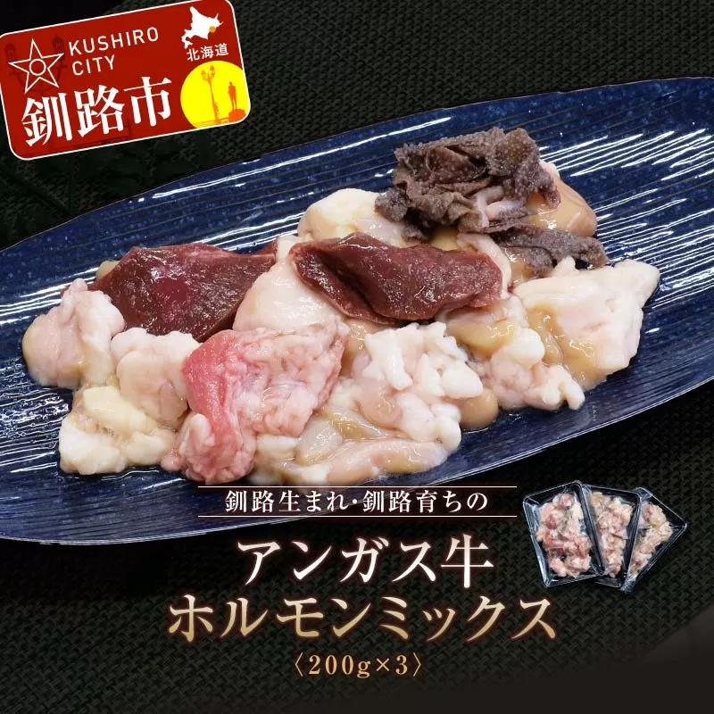 釧路生まれ、釧路育ちのアンガス牛ホルモンミックス 200g×3 国産 ホルモン 牛 牛肉 国産 ホルモン ハツ モツ 冷凍 焼肉 もつ鍋 煮込み 小分け 北海道 F4F-3320