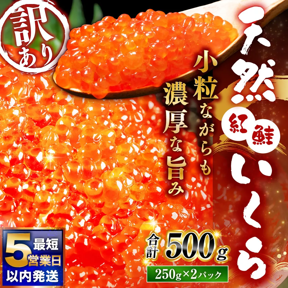 7月発送 紅鮭いくら醤油漬け 500g（250g×2） 冷凍 年末年始 いくら 鮭いくら ご飯のお供 ご飯 米 北海道 釧路市