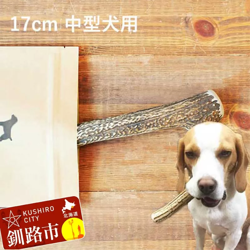 エゾ鹿の角ガム 17cm 中型犬用 北海道産 国産 無添加 犬用ガム 天然鹿角 長持ち デンタルケア ペット おやつ F5F-0062