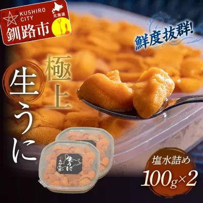 【鮮度抜群！極上生えぞバフンうに】生うに塩水詰め100g×2 ふるさと納税 うに F4F-3212