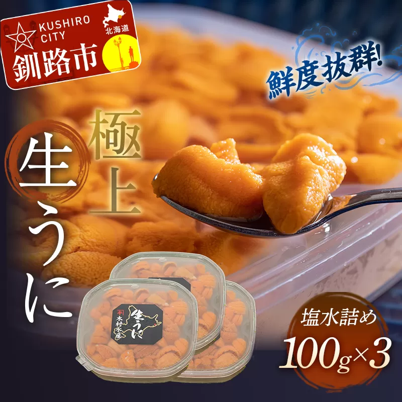 生うに塩水詰め100g×3【鮮度抜群！極上生えぞバフンうに】 ふるさと納税 うに F4F-3214