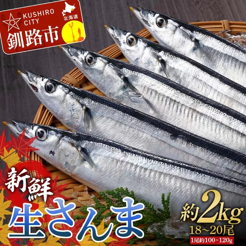 油絵（秋刀魚）さんま　Ｆ4 油絵（秋刀魚）さんま F4