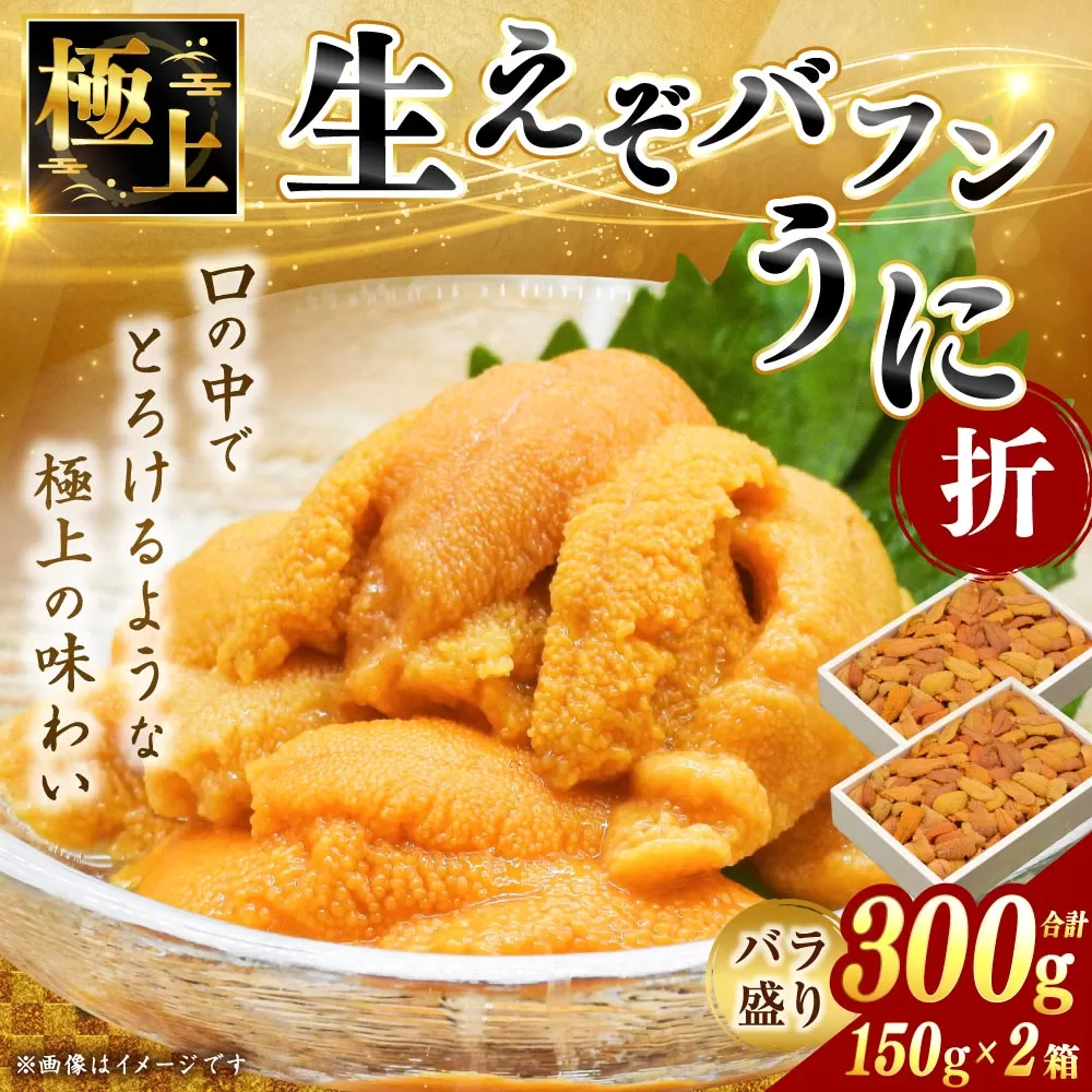 えぞバフンうに折150g×2 【鮮度抜群！極上生えぞバフンうに】 ふるさと納税 うに  F4F-0698