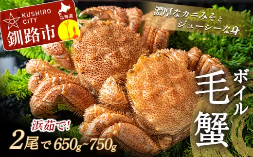 ボイル毛がに（浜茹で急速冷凍）2尾入 （2尾で650〜750g） ふるさと納税 かに 蟹  F4F-0435