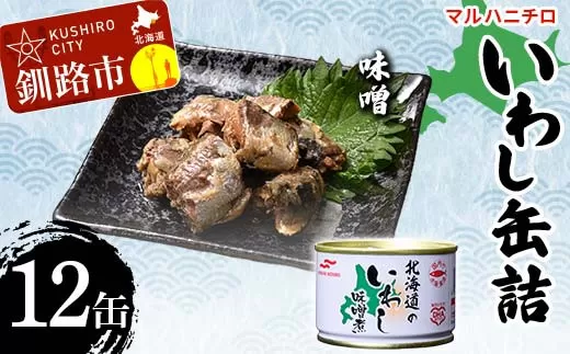マルハニチロ いわし缶詰 味噌×12缶 イワシ 鰯 おつまみ 肴 おかず 北海道 釧路市  F4F-4600
