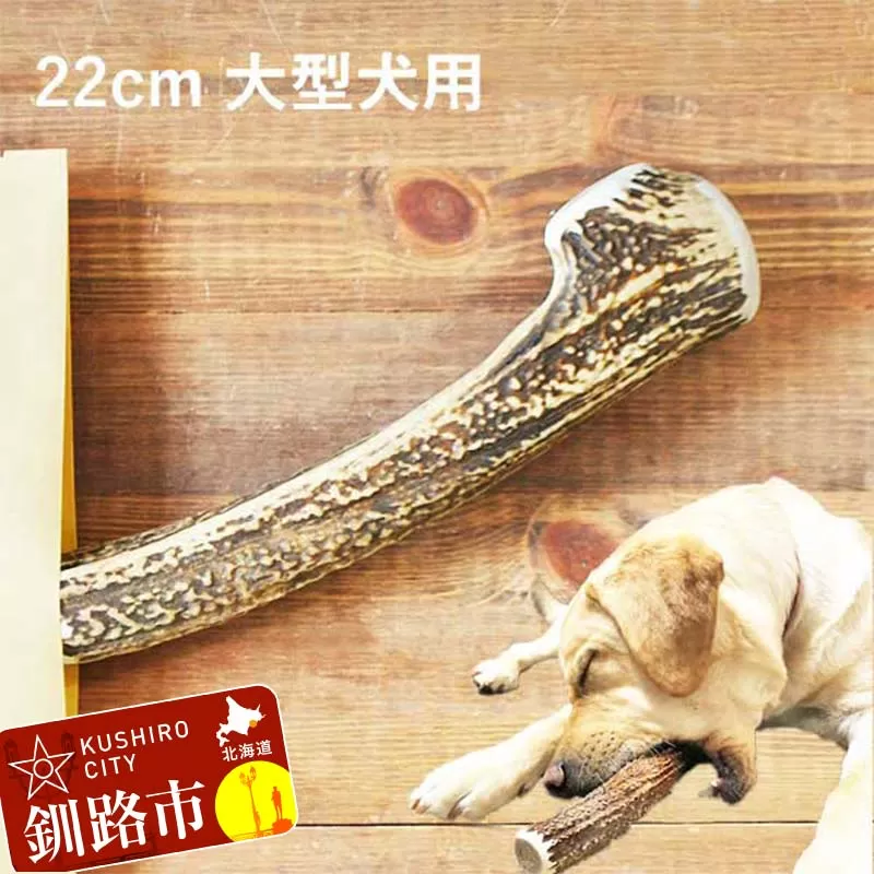 エゾ鹿の角ガム 22cm 大型犬用 北海道産 国産 無添加 犬用ガム 天然鹿角 長持ち デンタルケア ペット おやつ F5F-0066