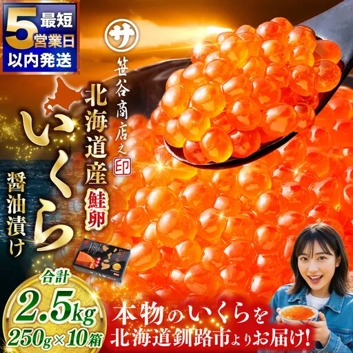 【5営業日以内発送】 笹谷商店 北海道産 いくら イクラ (鮭) 250g×10箱 2.5kg 2,500g 魚 醤油漬け 海鮮醤油漬け 海鮮 海鮮丼 ギフト 冷凍 魚卵 魚介類 しょう油漬 ご飯のお供