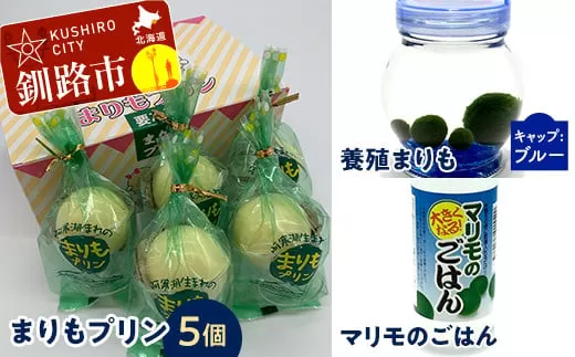 阿寒湖銘菓まりもプリン5個入と養殖まりもセット（ブルー） 北海道 釧路 ふるさと納税 養殖まりも 飼育 プリン カスタード スイーツ 菓子  F4F-1863